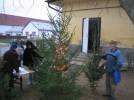 Feny�oszt�s