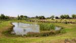 © Fot�k: Cseke L�szl�