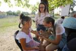 © Fot�: Cseke L�szl�