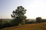 © Fot�: Cseke L�szl�